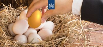 Foto van nest met witte eieren en 1 gouden ei